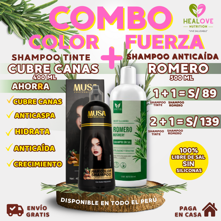 PACK 2 X 1 (SHAMPOO TINTE CUBRE CANAS 400ML + SHAMPOO ROMERO 500ML)